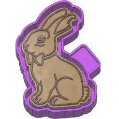 Chocolate Easter Bunny Freshie Silicone Mold 